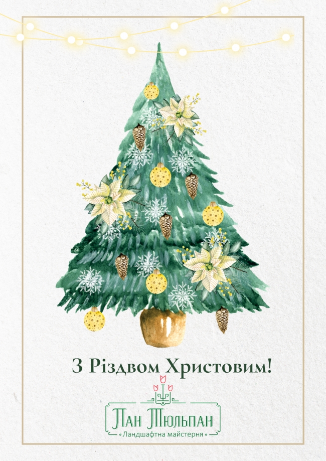 Вітаємо з Різдвом Христовим!!!