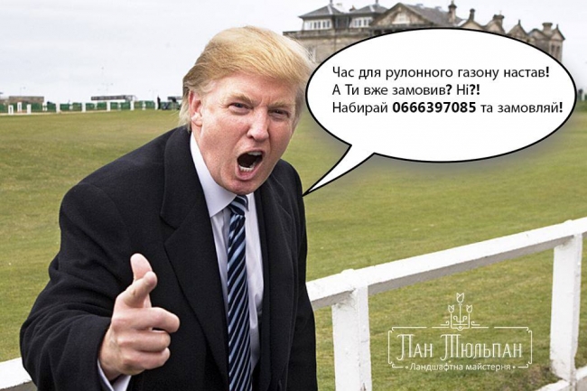 Настав час для рулонного газону