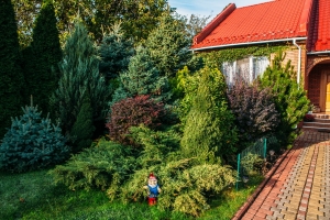 Сказочный сад в городских джунглях