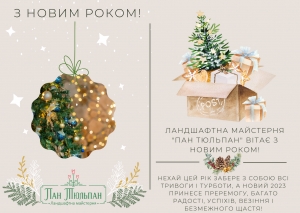 З Новим 2023 Роком!!!