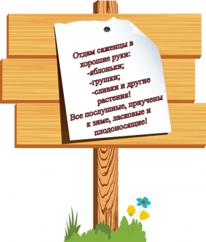 Отдадим саженцы в хорошие руки!