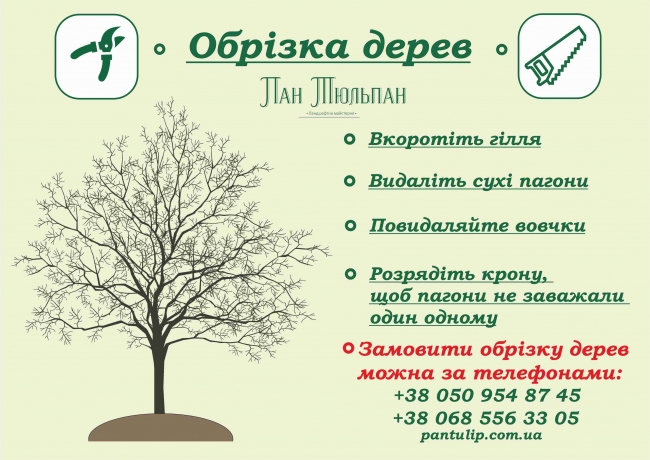Обрізка дерев