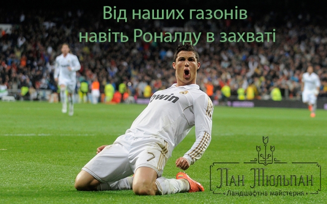 Рулонний газон