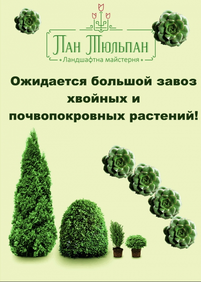 Ожидается завоз растений!