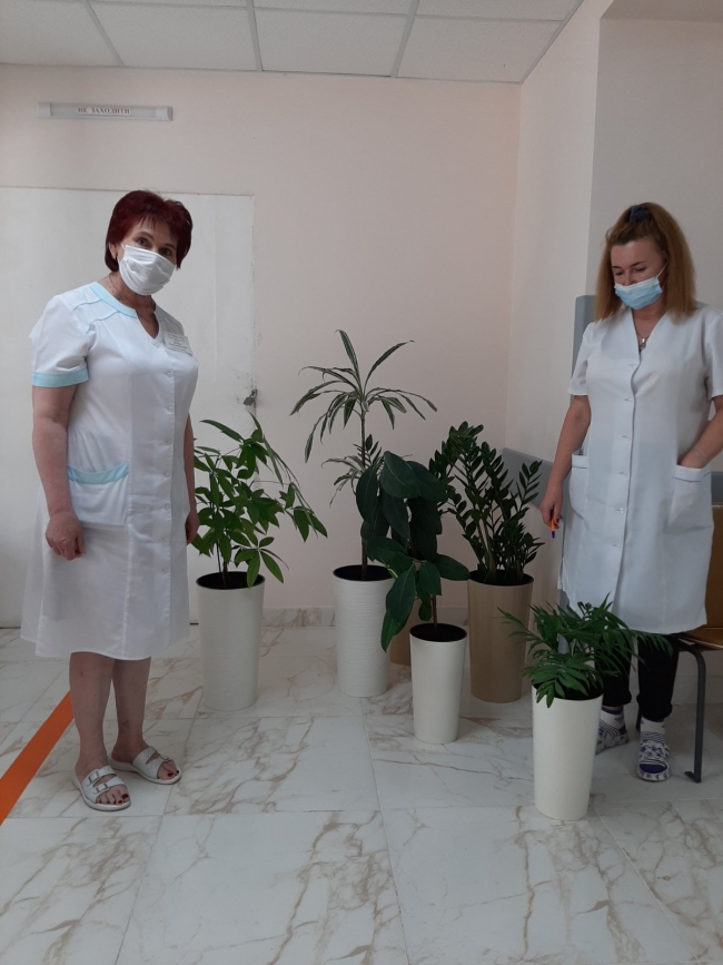 Озеленення приміщення 4 лікарні